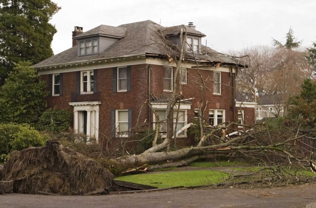 roof storm damage in Rockford