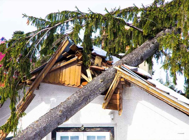 trusted storm damage repair expert in Schaumburg IL