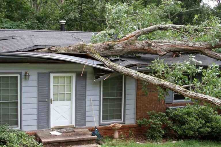 storm damage roof repair expert in Woodstock IL